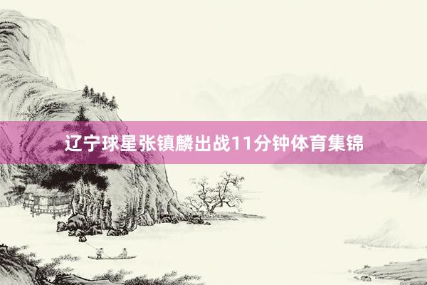 辽宁球星张镇麟出战11分钟体育集锦