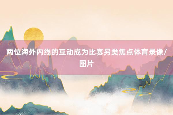两位海外内线的互动成为比赛另类焦点体育录像/图片