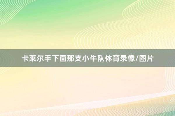 卡莱尔手下面那支小牛队体育录像/图片