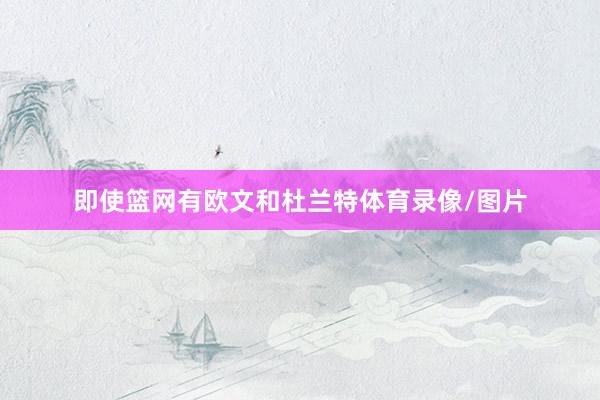 即使篮网有欧文和杜兰特体育录像/图片