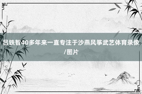 吕铁智40多年来一直专注于沙燕风筝武艺体育录像/图片