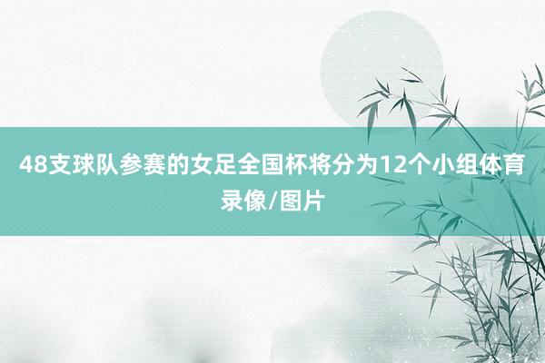 48支球队参赛的女足全国杯将分为12个小组体育录像/图片