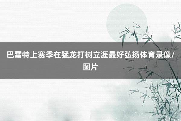 巴雷特上赛季在猛龙打树立涯最好弘扬体育录像/图片