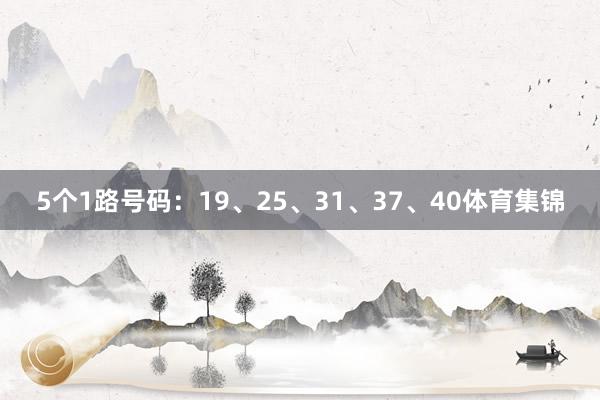 5个1路号码：19、25、31、37、40体育集锦