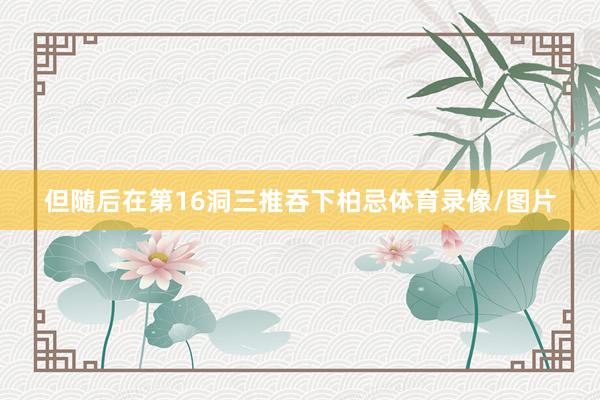 但随后在第16洞三推吞下柏忌体育录像/图片