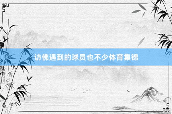 访佛遇到的球员也不少体育集锦
