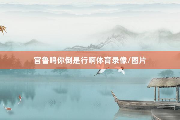 宫鲁鸣你倒是行啊体育录像/图片