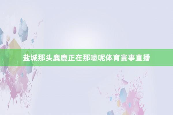 盐城那头麋鹿正在那嚎呢体育赛事直播