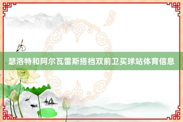 瑟洛特和阿尔瓦雷斯搭档双前卫买球站体育信息