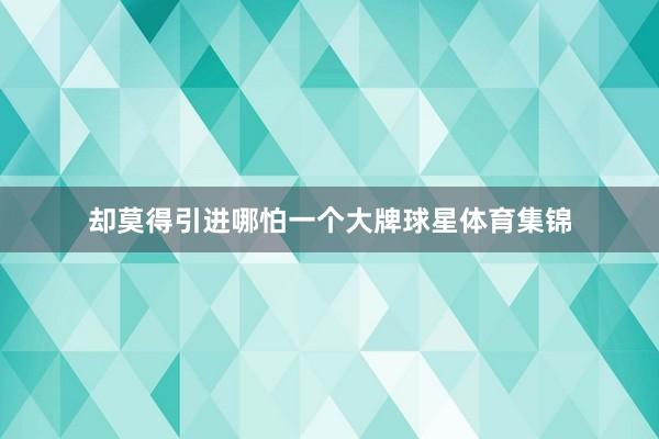 却莫得引进哪怕一个大牌球星体育集锦