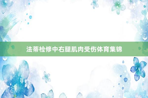 法蒂检修中右腿肌肉受伤体育集锦