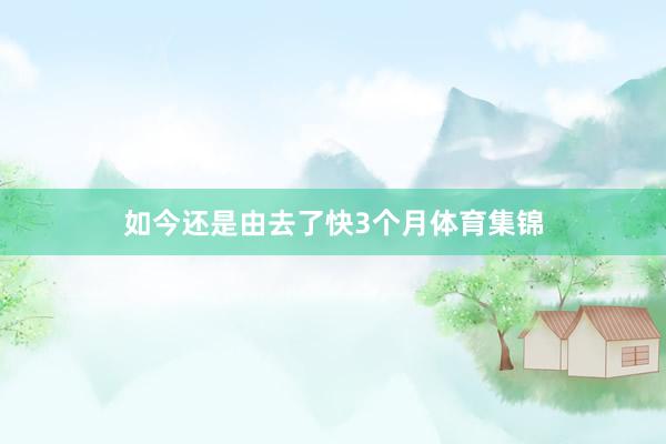 如今还是由去了快3个月体育集锦