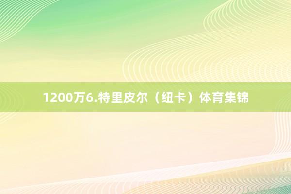 1200万6.特里皮尔（纽卡）体育集锦