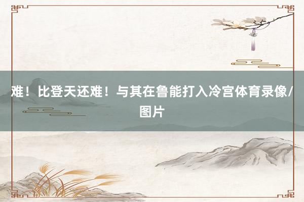 难！比登天还难！与其在鲁能打入冷宫体育录像/图片