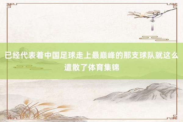 已经代表着中国足球走上最巅峰的那支球队就这么遣散了体育集锦