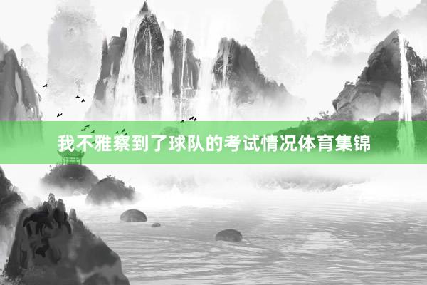 我不雅察到了球队的考试情况体育集锦