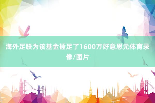 海外足联为该基金插足了1600万好意思元体育录像/图片