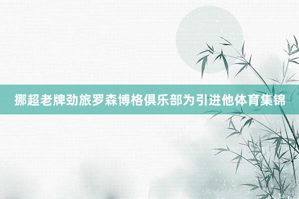 挪超老牌劲旅罗森博格俱乐部为引进他体育集锦