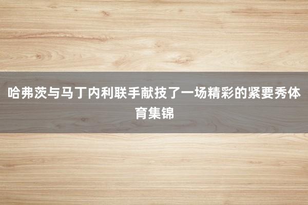哈弗茨与马丁内利联手献技了一场精彩的紧要秀体育集锦
