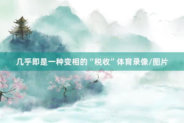 几乎即是一种变相的“税收”体育录像/图片