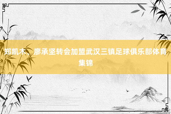 郑凯木、廖承坚转会加盟武汉三镇足球俱乐部体育集锦
