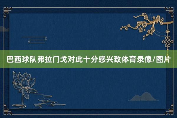 巴西球队弗拉门戈对此十分感兴致体育录像/图片