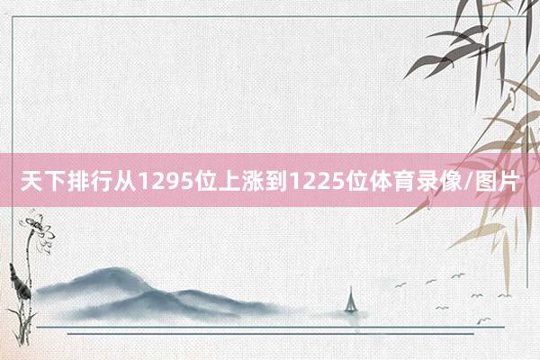 天下排行从1295位上涨到1225位体育录像/图片