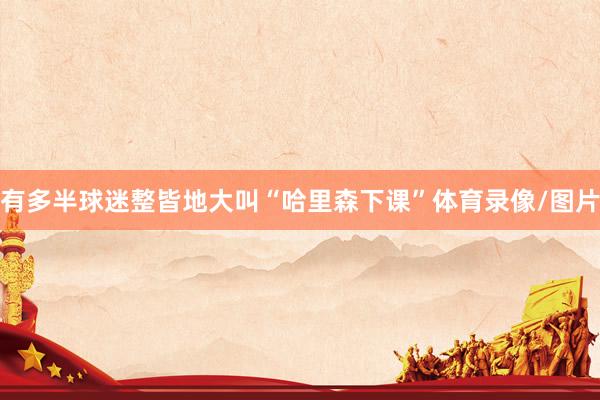 有多半球迷整皆地大叫“哈里森下课”体育录像/图片