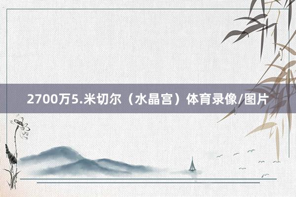 2700万5.米切尔（水晶宫）体育录像/图片