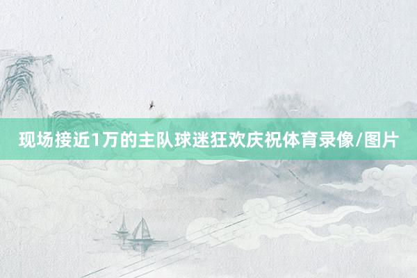 现场接近1万的主队球迷狂欢庆祝体育录像/图片