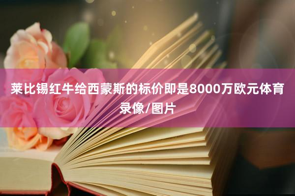 莱比锡红牛给西蒙斯的标价即是8000万欧元体育录像/图片