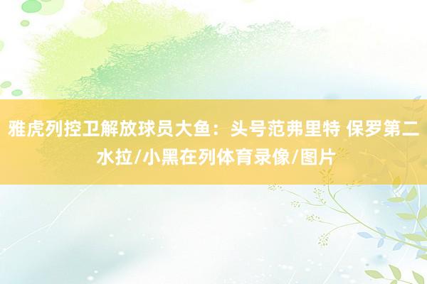 雅虎列控卫解放球员大鱼：头号范弗里特 保罗第二 水拉/小黑在列体育录像/图片