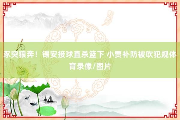 豕突狼奔！锡安接球直杀篮下 小贾补防被吹犯规体育录像/图片