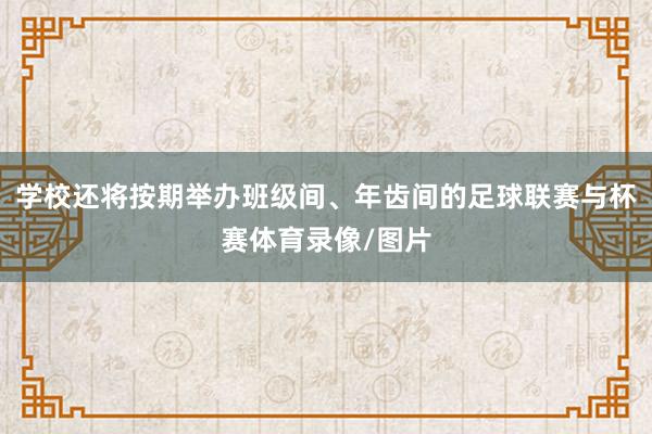 学校还将按期举办班级间、年齿间的足球联赛与杯赛体育录像/图片