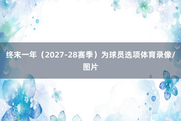 终末一年（2027-28赛季）为球员选项体育录像/图片