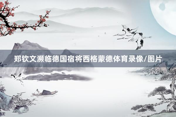 郑钦文濒临德国宿将西格蒙德体育录像/图片