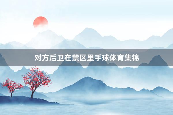 对方后卫在禁区里手球体育集锦