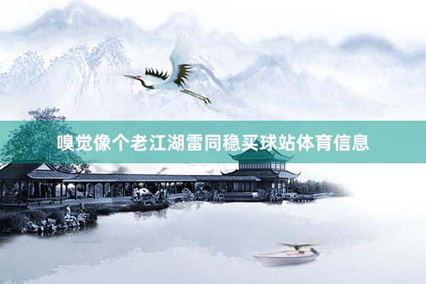 嗅觉像个老江湖雷同稳买球站体育信息