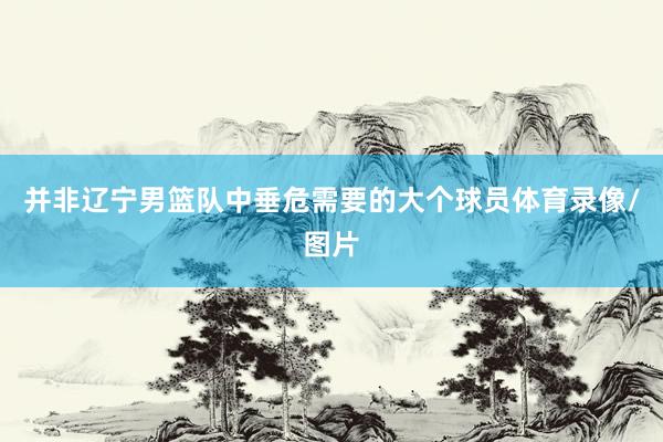 并非辽宁男篮队中垂危需要的大个球员体育录像/图片