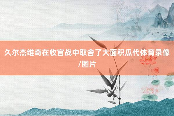久尔杰维奇在收官战中取舍了大面积瓜代体育录像/图片