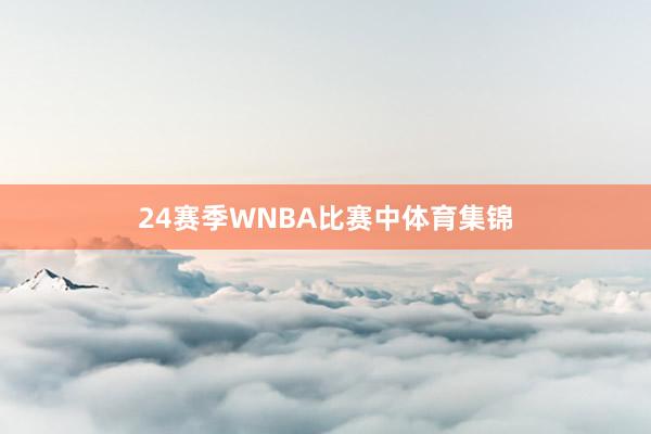 24赛季WNBA比赛中体育集锦