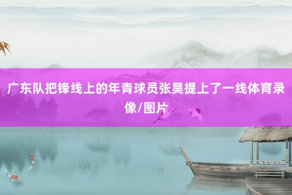 广东队把锋线上的年青球员张昊提上了一线体育录像/图片