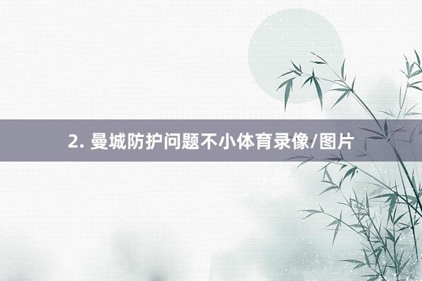 2. 曼城防护问题不小体育录像/图片