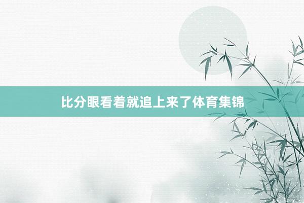 比分眼看着就追上来了体育集锦