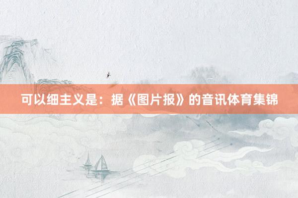 可以细主义是：据《图片报》的音讯体育集锦