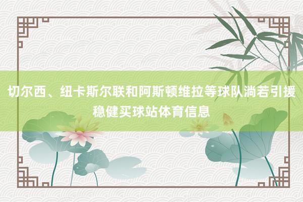 切尔西、纽卡斯尔联和阿斯顿维拉等球队淌若引援稳健买球站体育信息
