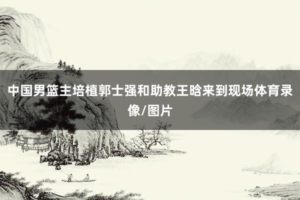 中国男篮主培植郭士强和助教王晗来到现场体育录像/图片