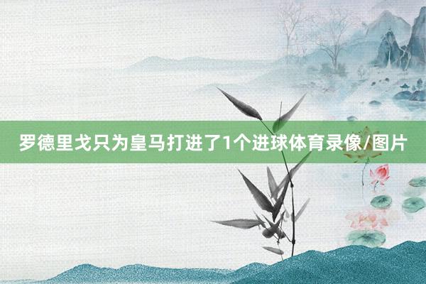 罗德里戈只为皇马打进了1个进球体育录像/图片