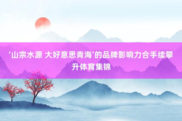 ‘山宗水源 大好意思青海’的品牌影响力合手续攀升体育集锦