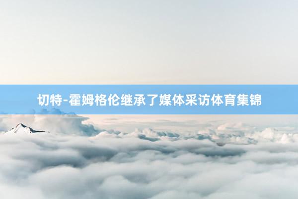 切特-霍姆格伦继承了媒体采访体育集锦